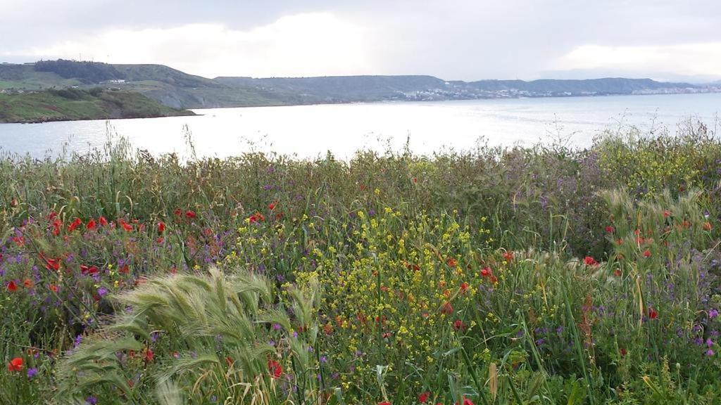 B&B I Viaggi Di Edo Crotone Bagian luar foto